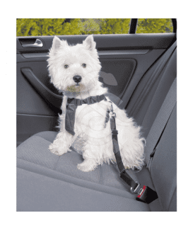 Harnais de sécurité voiture pour chien