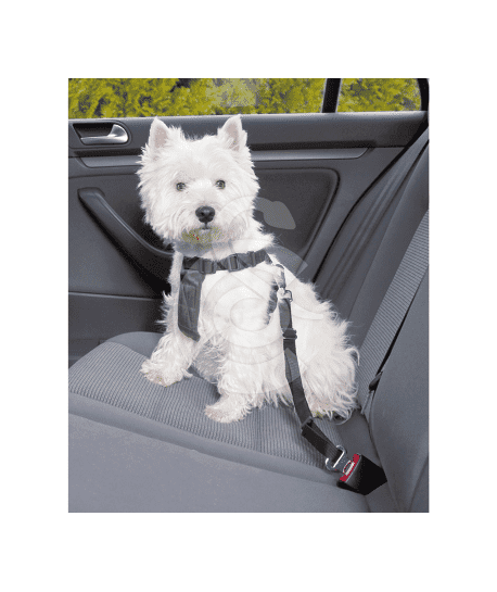 Harnais de sécurité voiture pour chien