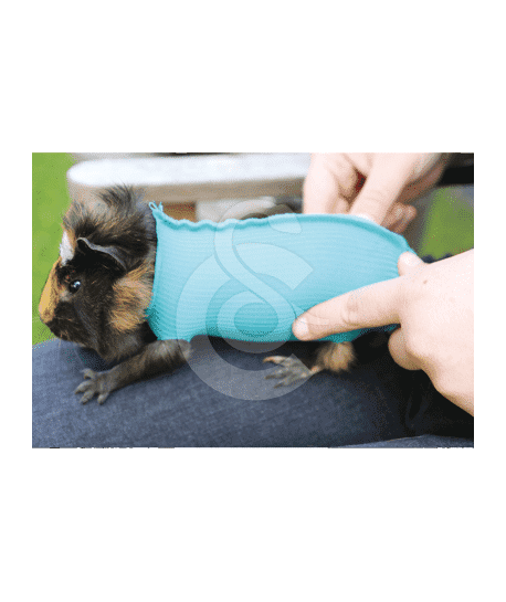 Gilet Safety Tube VetMedCare pour PA et NAC