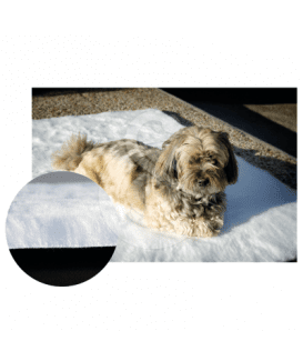 Tapis-moquette anti escarres