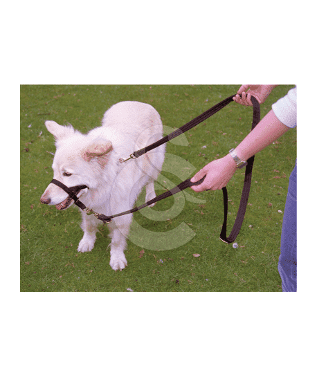 Laisse Halti 3 positions