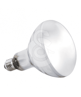 Ampoule Solar Glo UVA/UVB pour reptiles