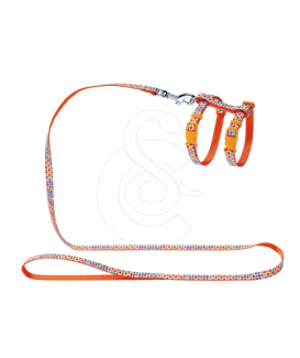 Ensemble harnais / laisse chat Hunter