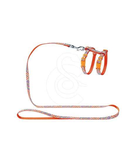 Ensemble harnais / laisse chat Hunter