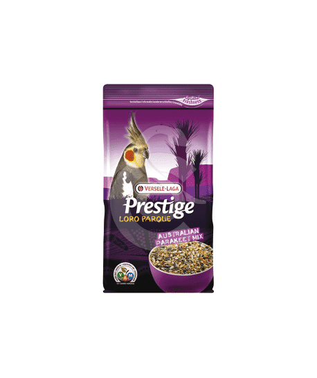 Premium grandes Perruches Australian