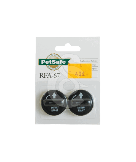 Pile Lithium 6 V Type RFA-67