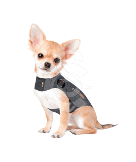 Gilet anti-anxiété ThunderShirt pour chien