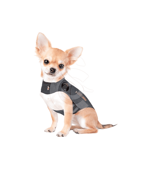 Gilet anti-anxiété ThunderShirt pour chien