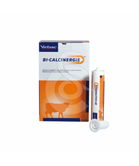 Bi-Calcinergie