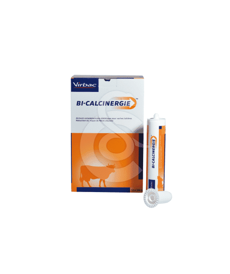 Bi-Calcinergie