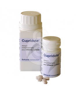 Cupridote