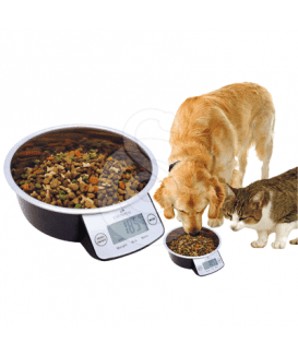Gamelle intelligente Pet Bowl
