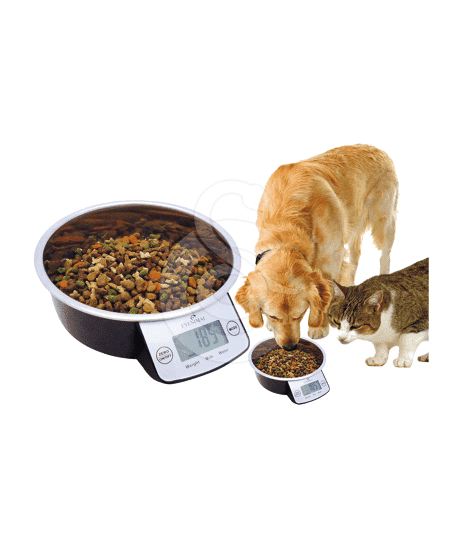 Gamelle intelligente Pet Bowl