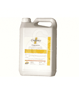Chelates Magnesium