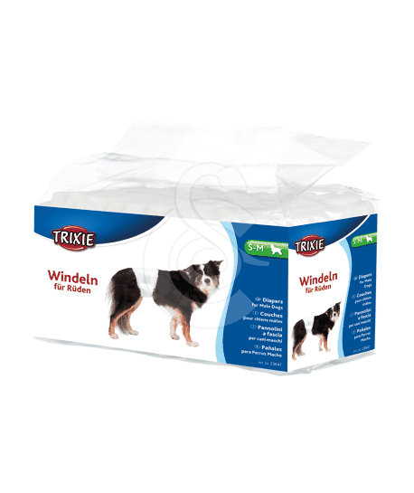 Couche jetable pour chien mâle