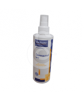 Dermacool Nf