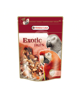 Perroquets Exotic Nuts