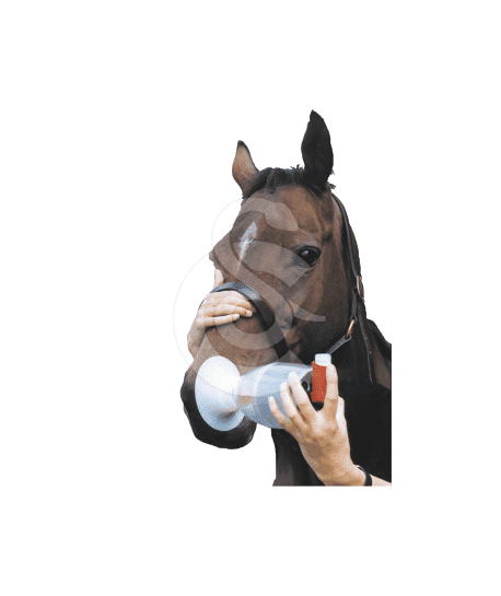 Aérosol Equine Haler pour inhalation