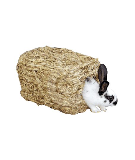 Maisonnette végétale pour lapins nains, cochon d'inde...