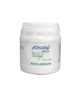 Sofcanis Articulations