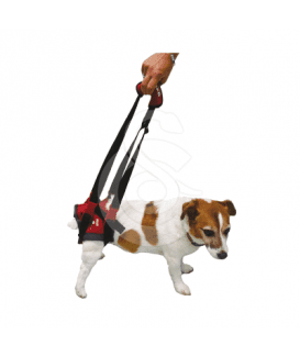 Harnais Handy-Canis pour chien paralysé du train arrière