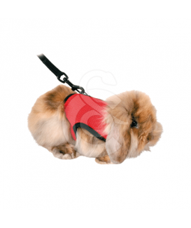 Harnais Confort pour rongeur