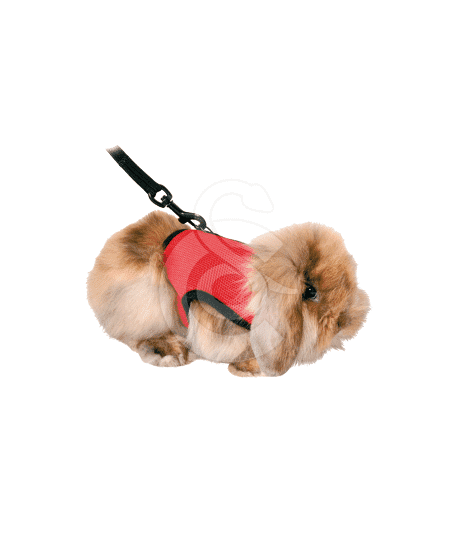 Harnais Confort pour rongeur