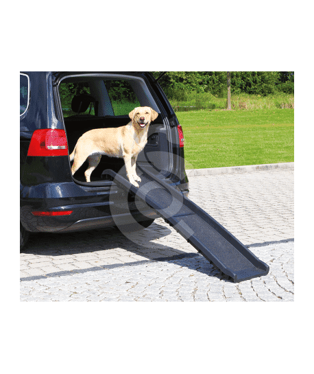 Rampe d'accès voiture pliante