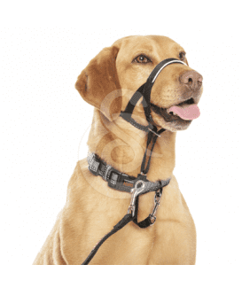 Collier de contrôle Halti