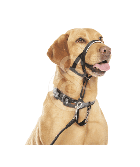 Collier de contrôle Halti