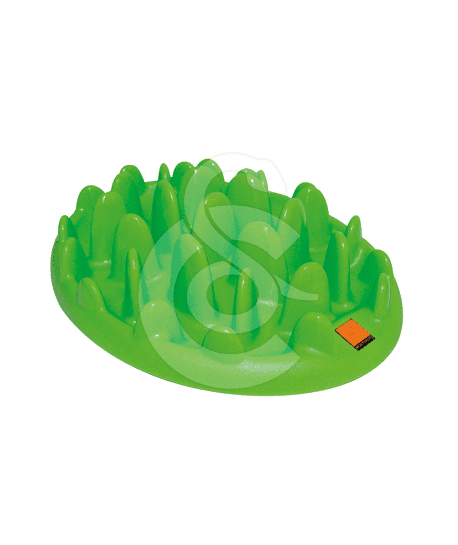 Gamelle Green Slow Dog pour chien