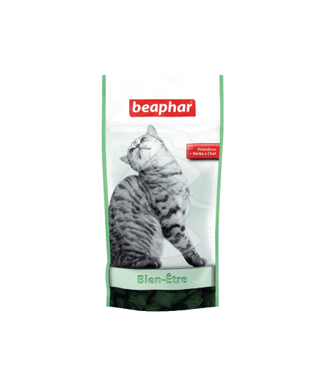 Friandises Bien Être pour chat à l'herbe à chat