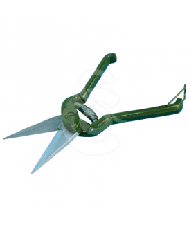 Coupe-onglons pour ovins