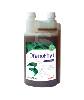 Drainophyt
