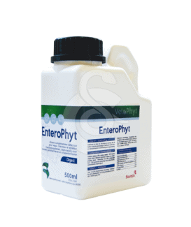 Enterophyt