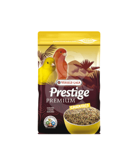 Premium Canaris