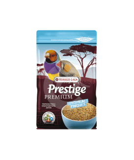 Premium Oiseaux Exotiques