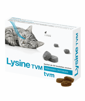 Lysine Tvm