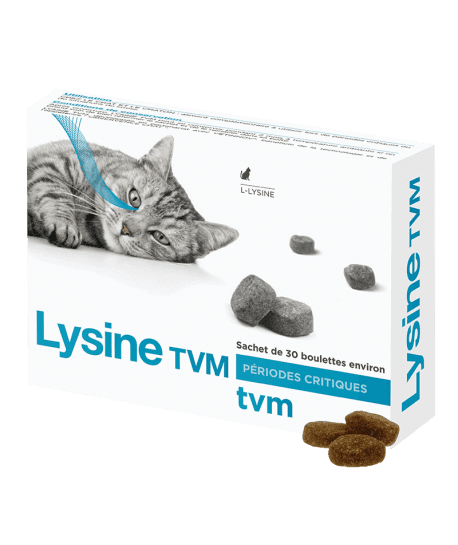 Lysine Tvm