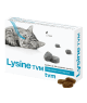 Lysine Tvm
