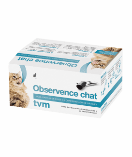Observence Chat en barre