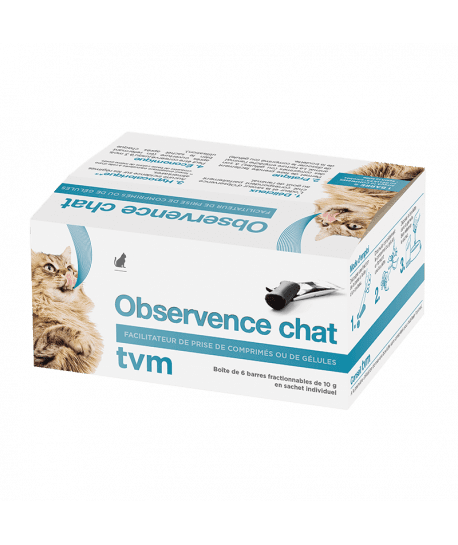 Observence Chat en barre