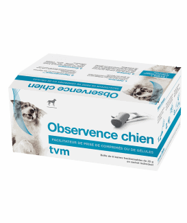 Observence Chien en barre