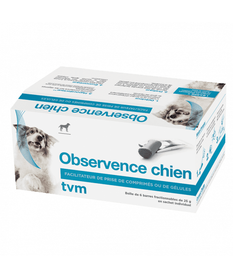 Observence Chien en barre