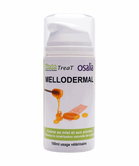 Mellodermal extérieur
