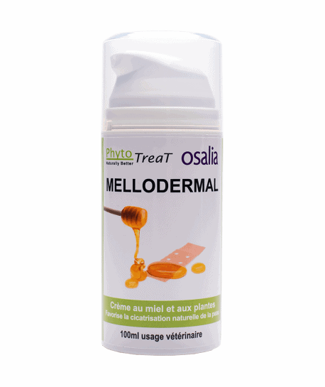 Mellodermal extérieur