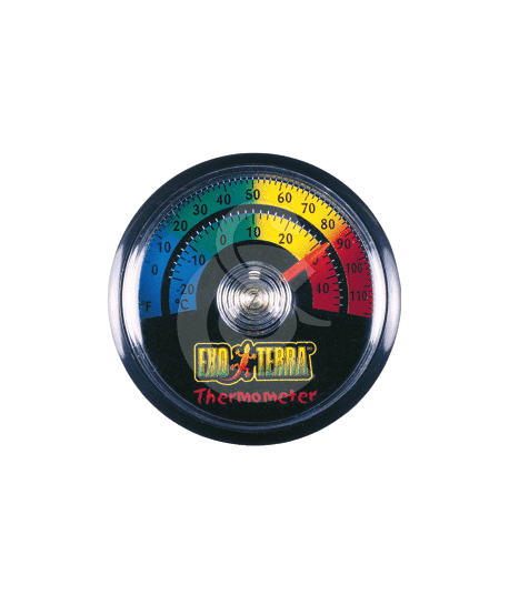 Thermomètre à aiguille pour terrarium