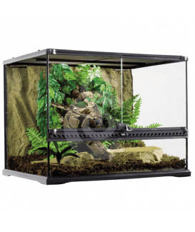 Terrarium en verre pour reptiles et amphibiens