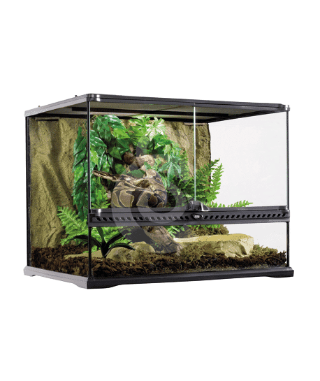 Terrarium en verre pour reptiles et amphibiens