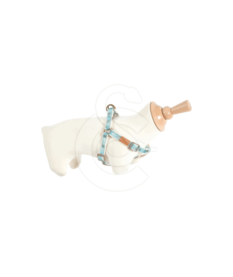 Harnais baudrier Zolux Imao Taiga